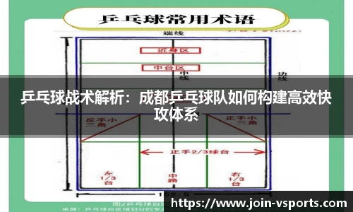 乒乓球战术解析：成都乒乓球队如何构建高效快攻体系