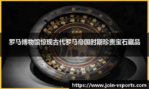 VSport登录入口